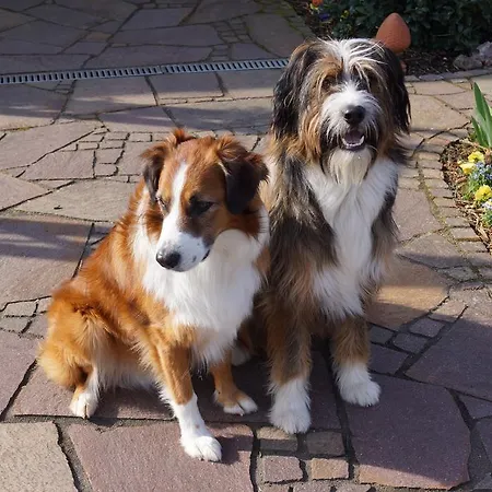 Апартаменты Fuchsia Waldstetten (Ostalbkreis)